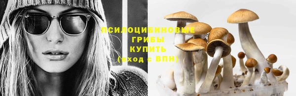 СК Алексин