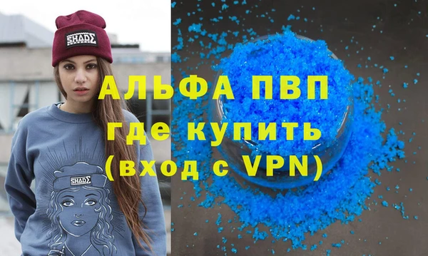 СК Алексин