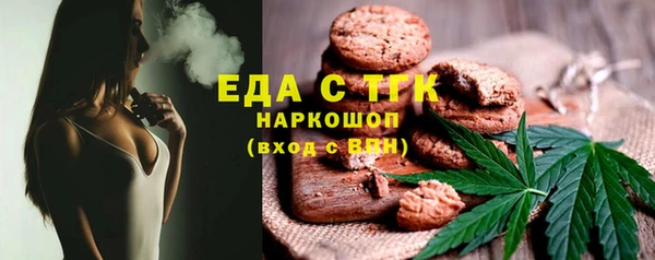СК Алексин