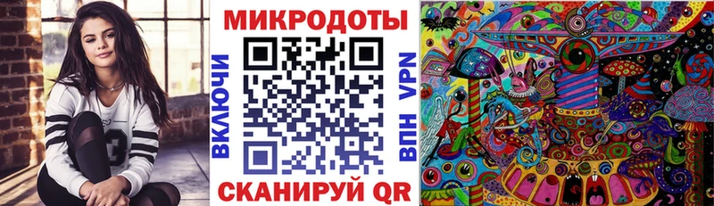 купить закладку mega ссылка shop Telegram Жирновск Псилоцибиновые грибы Cubensis